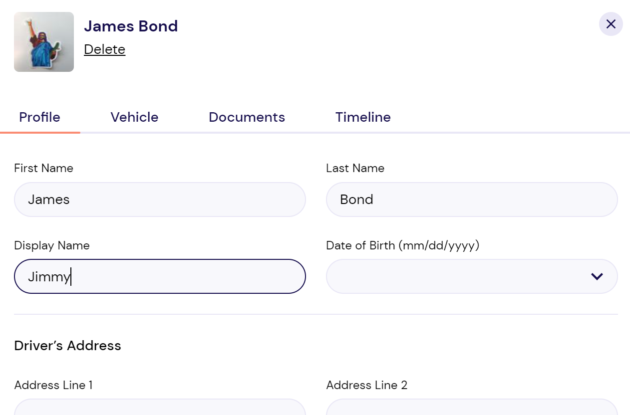 Screenshot CanFleet driver panel