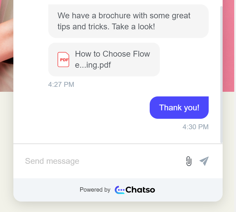 Screenshot ChatSO attach file customer view-1